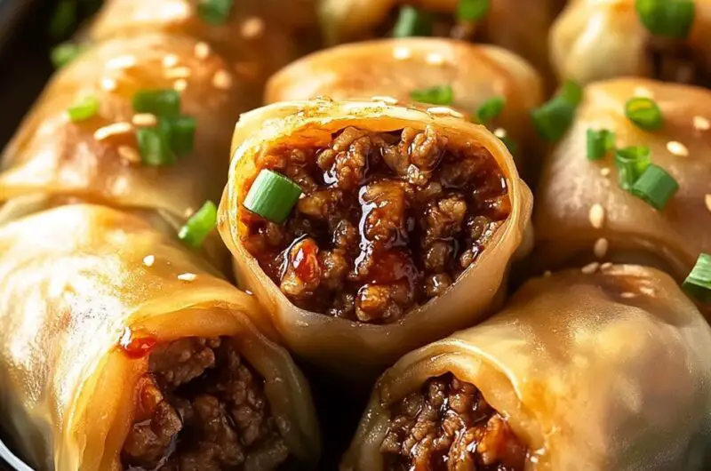 Spicy Beef Dumpling Rolls
