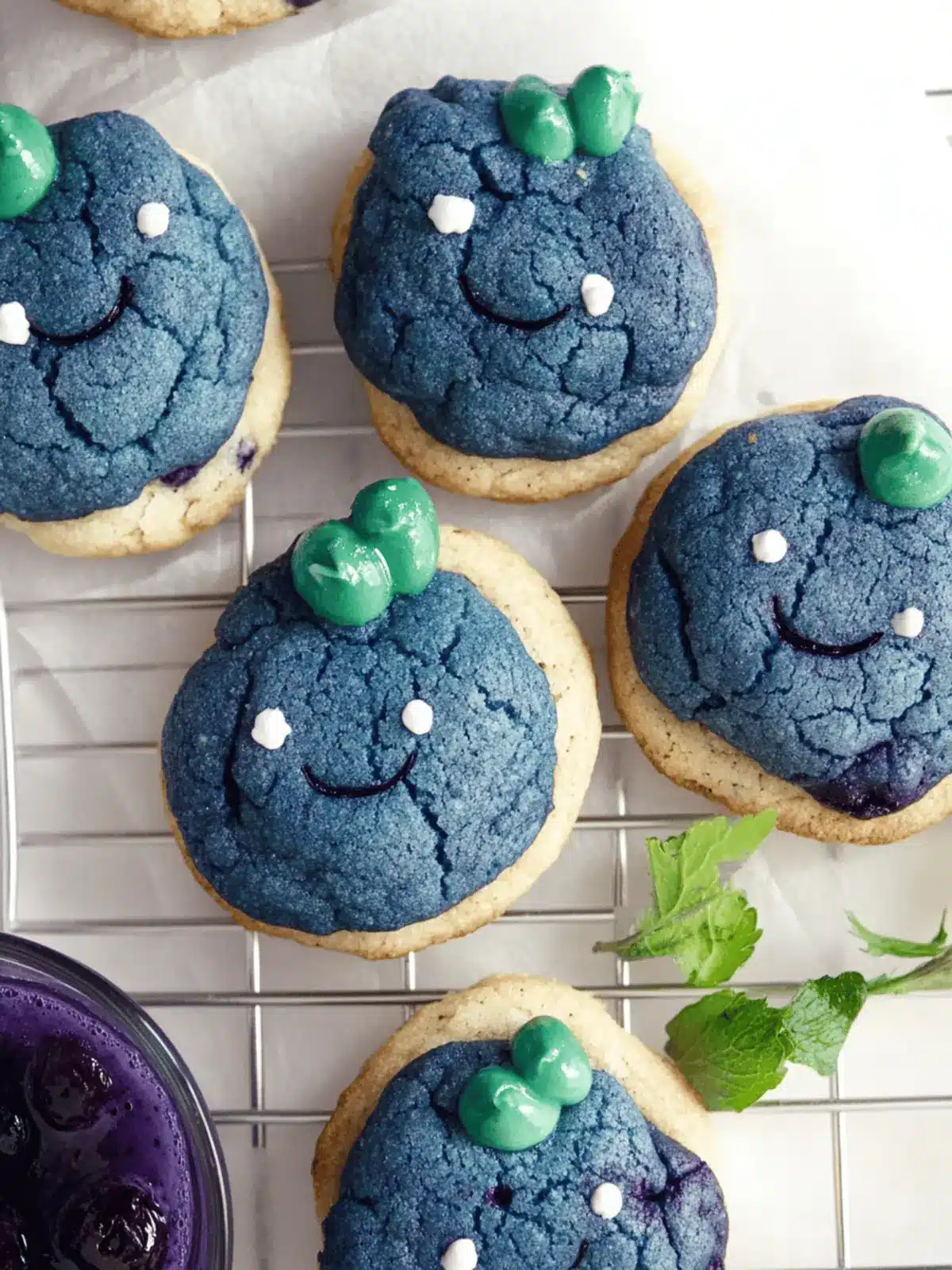Blueberry Oddish Cookies